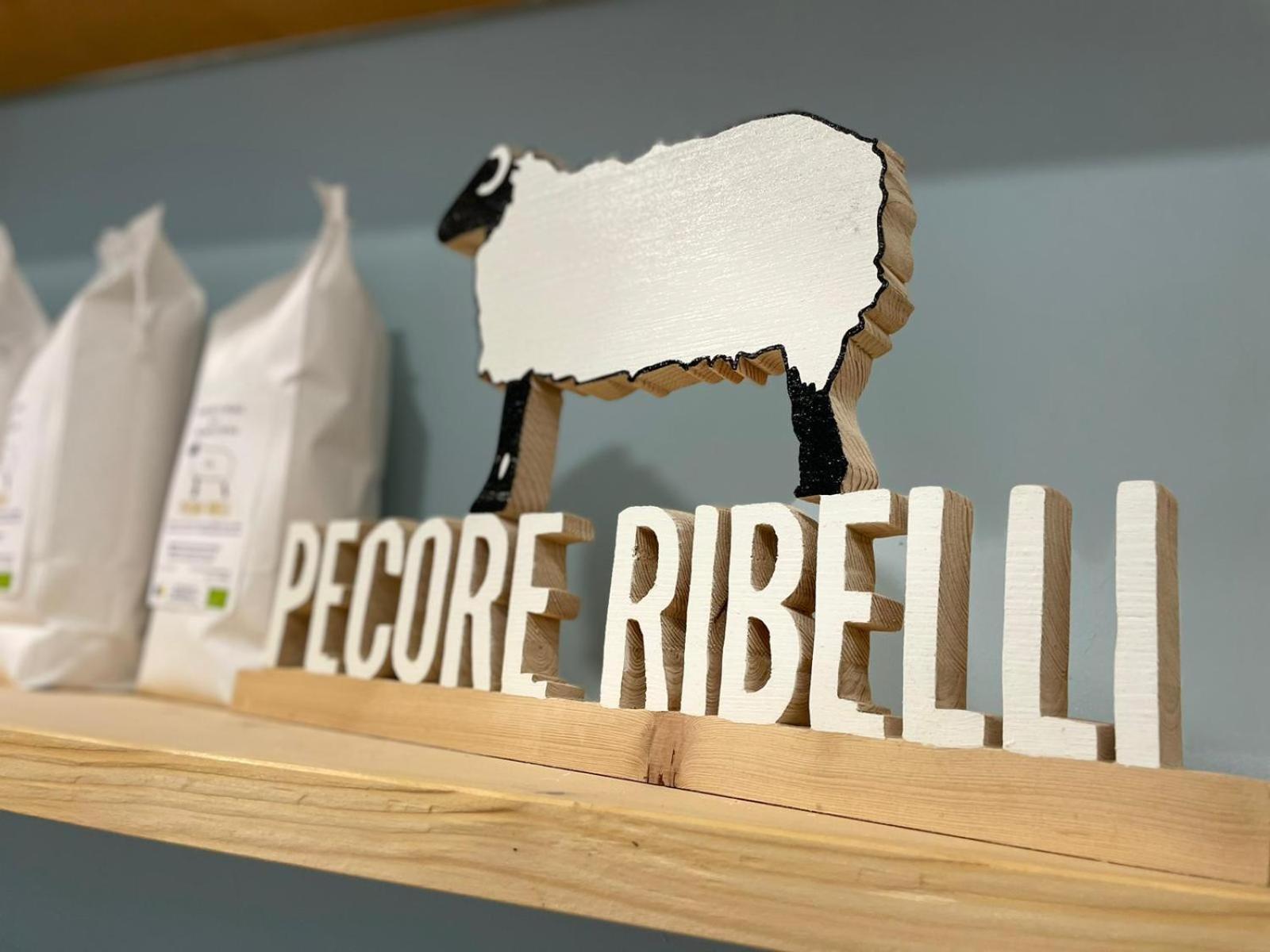 Pecore Ribelli Mira Kültér fotó