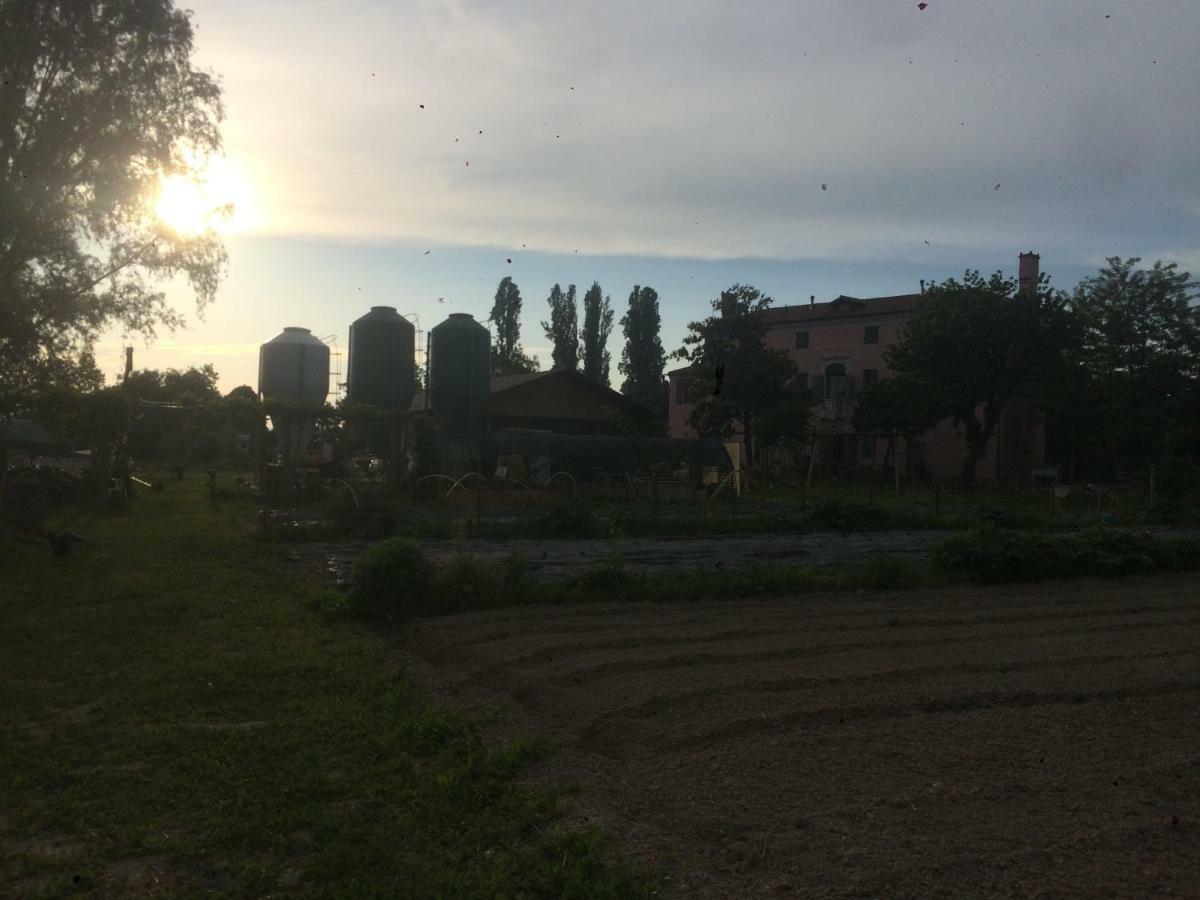 Pecore Ribelli Mira Kültér fotó