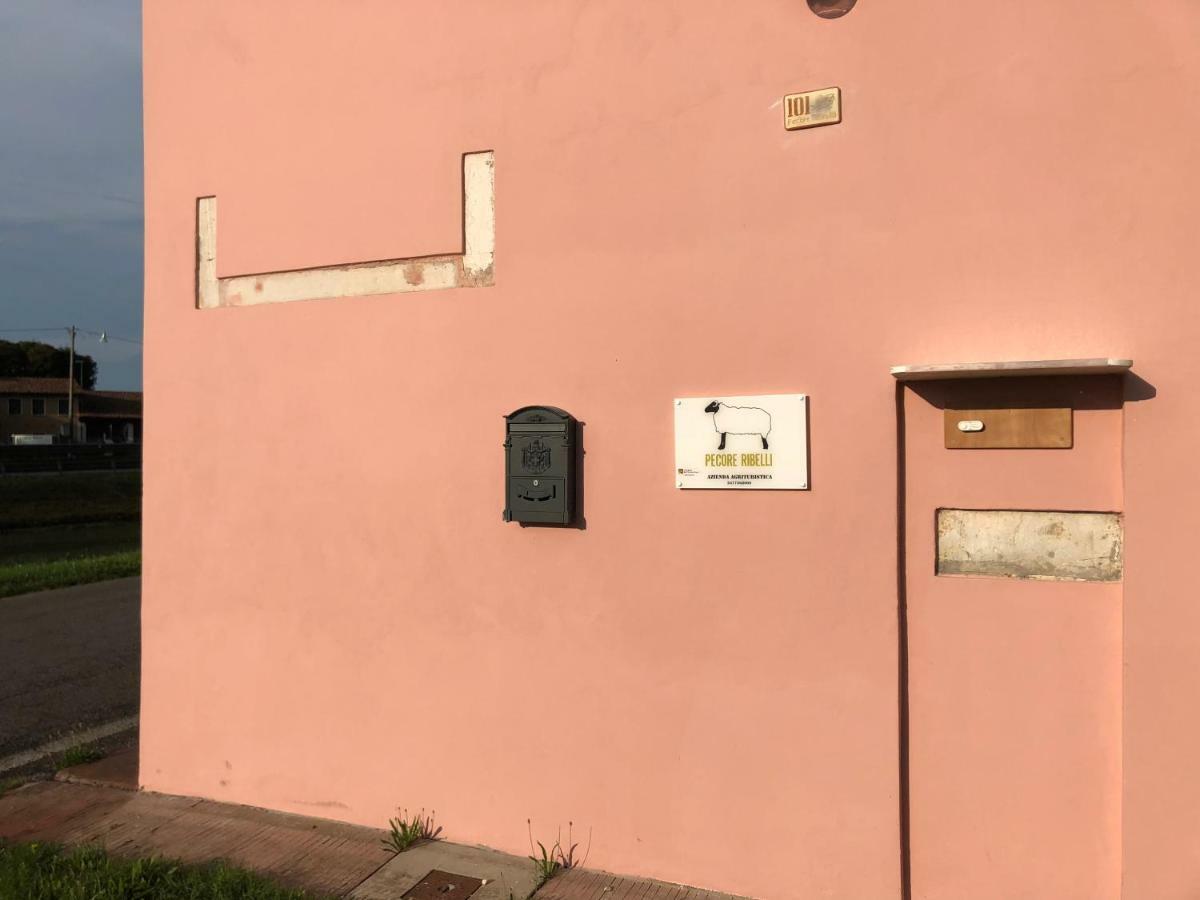 Pecore Ribelli Mira Kültér fotó