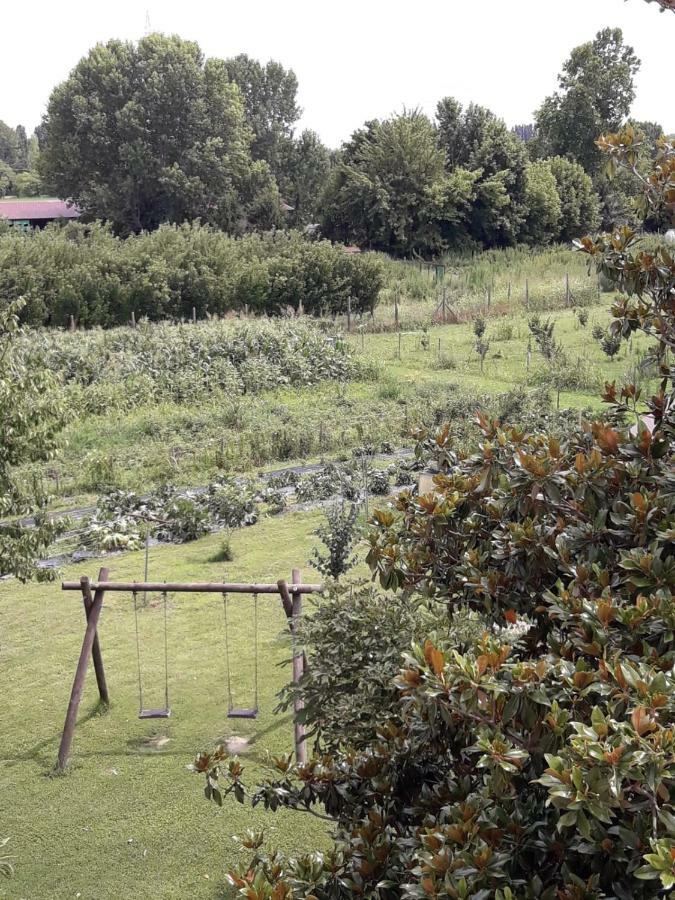 Pecore Ribelli Mira Kültér fotó